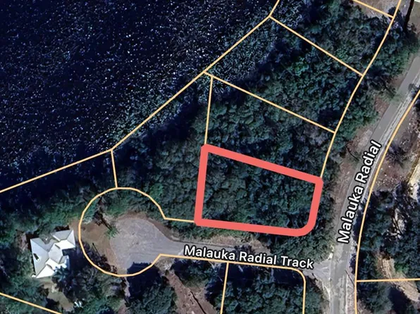 0 Malauka Radial Trak Lot 38, Ocklawaha, FL 32179