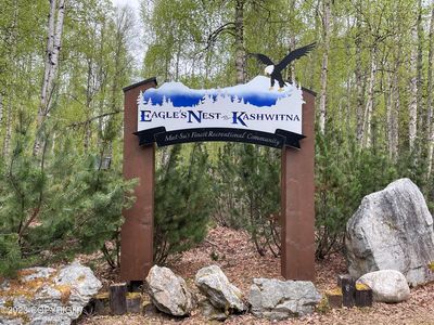 19699 E Goshawk Cir, Talkeetna, AK, 99676
