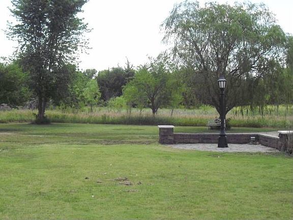 Established Trees & Wild