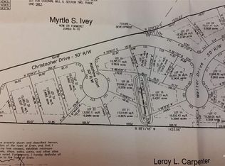 Walter Dr, Erwin, NC 28339