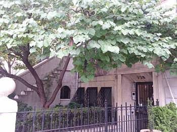 1st image of 728 Saint Nicholas Ave APT 5
