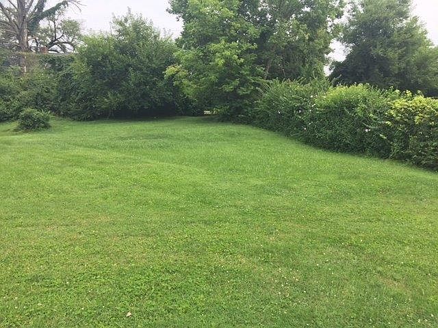 2nd image of 1170 Elm Park Dr