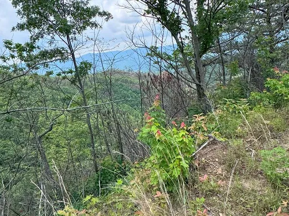 Bolden Branch Rd, Andrews, NC 28901