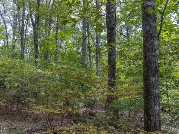 50/ACRE S Pineville Rd, Buena Vista, GA 31803