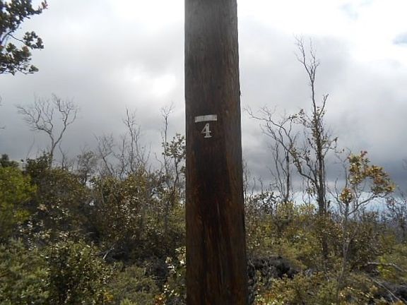 5th image of Ohia Dr Lot 5