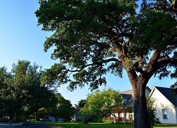 2nd image of 117 Winding Oak Dr