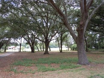 3rd image of 1501 McLin Dr