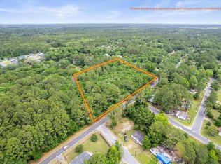 3.82 Acs W S Black Rd SE, Darien, GA 31305