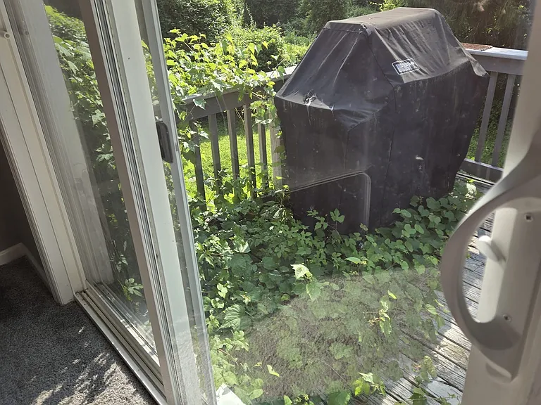 63 Van Dyke Rd #A — Photo 15