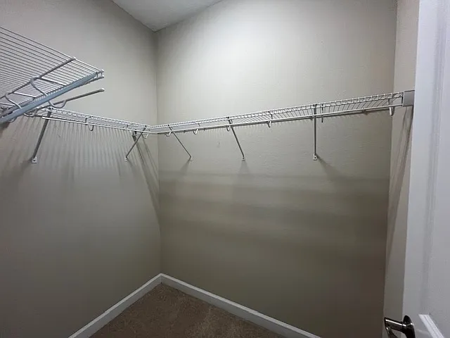 Primary Closet 2