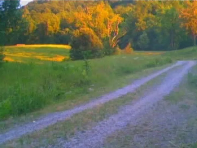 Old Thomas Byrd Rd — Photo 11