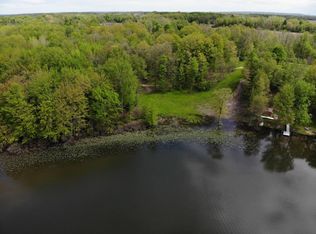 90 Thelen Dr, Gobles, MI 49055