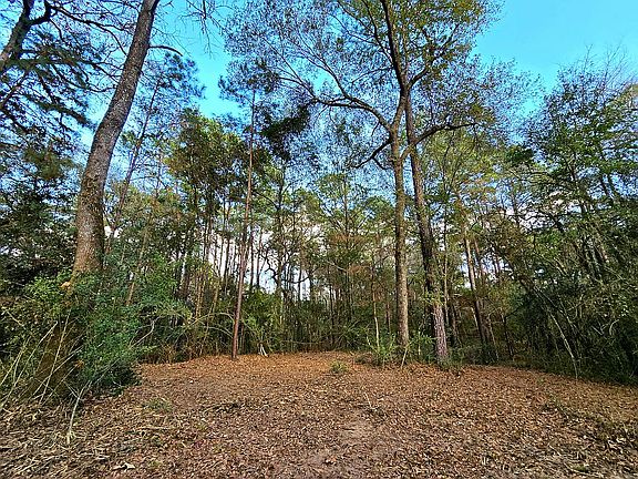 4th image of 28028 Crossway Oaks