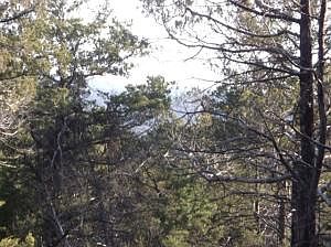 4th image of 2330 Marion County #2027
