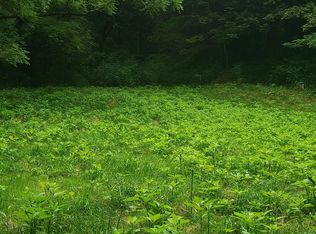 7166 Wilderness Rd, Dublin, VA 24084