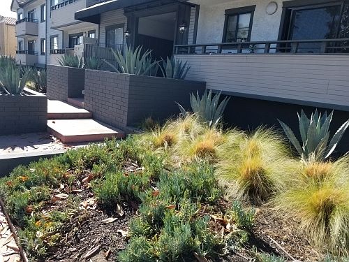 5th image of 6611 Woodman Ave APT 205