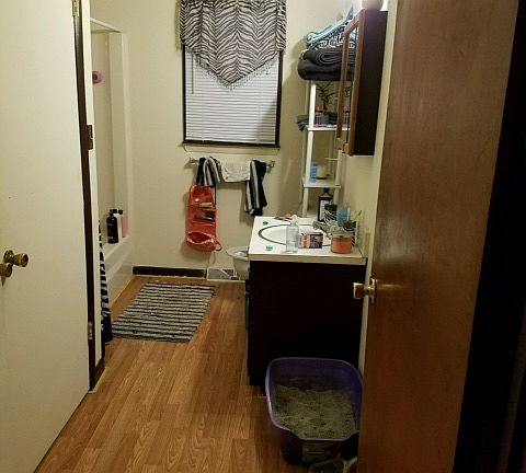 3rd image of 218 Choyce St