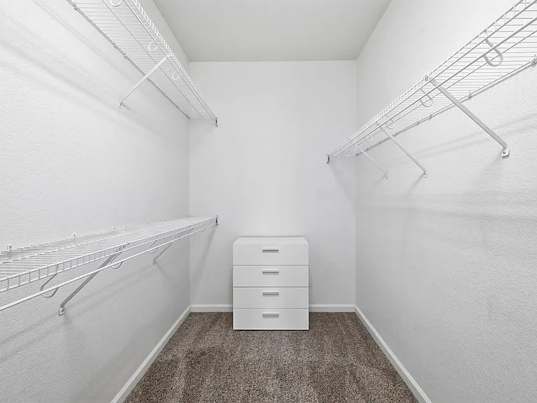 Primary bed walk-in closet