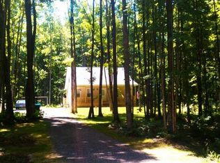 10250 Olds Rd, Elmira, MI 49730