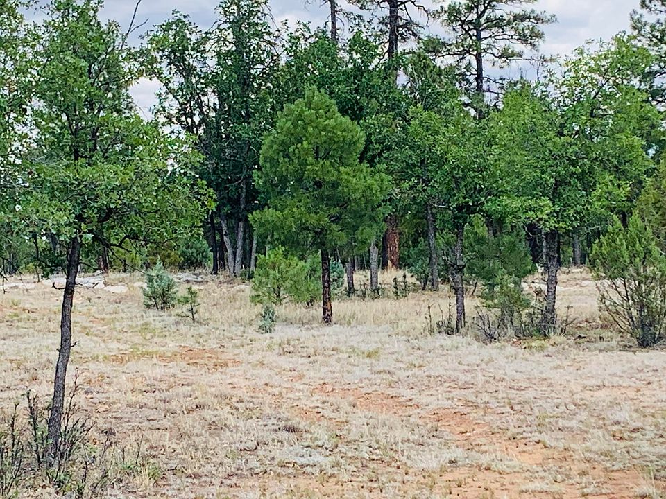 1st image of 4829 Bald Eagle Way