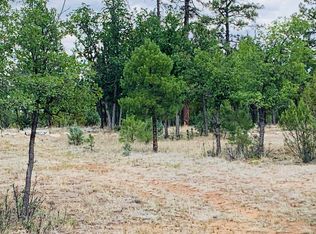 4829 Bald Eagle Way, Happy Jack, AZ 86024
