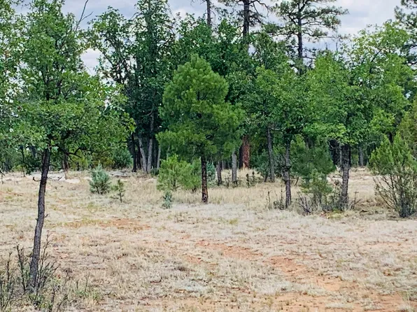 4829 Bald Eagle Way, Happy Jack, AZ 86024