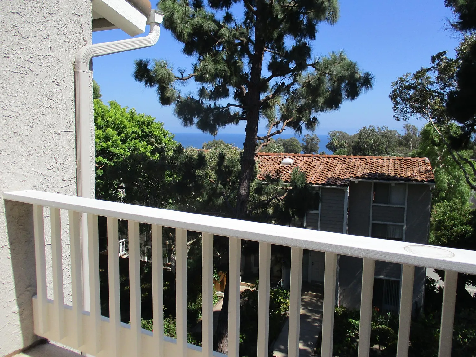 3 bed, 1306 sqft, $5,200 — Photo 2