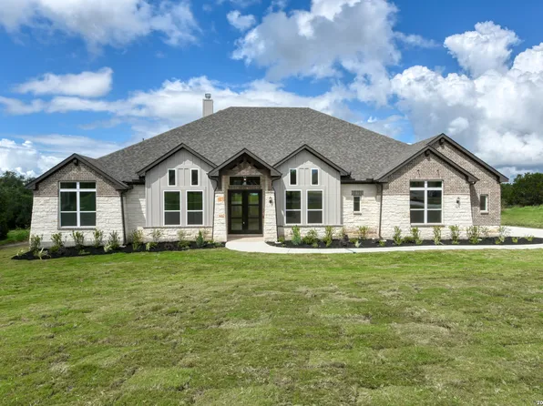 10679 Chestnut Warbler, New Braunfels, TX 78132