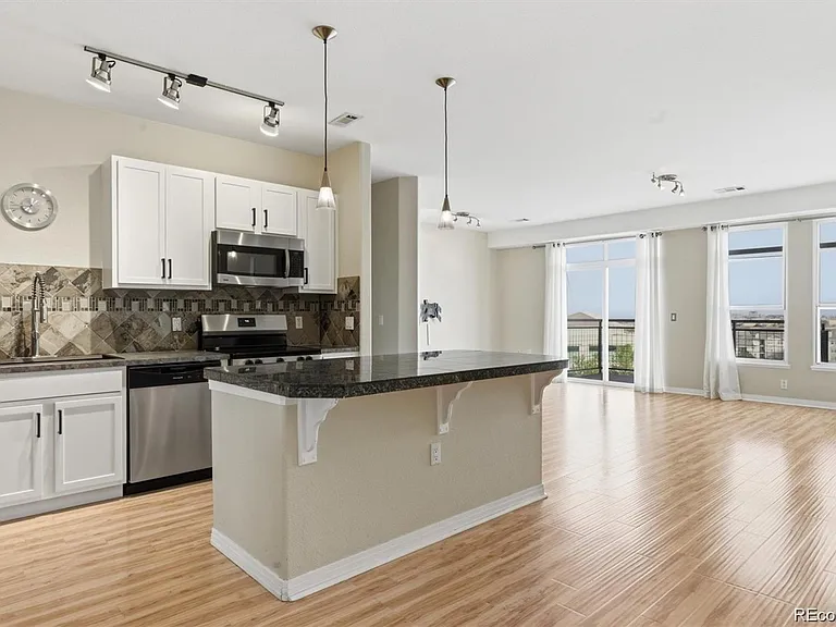 10176 Park Meadows Dr #2405 — Photo 4