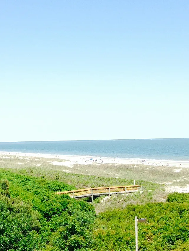 2 bed, 1000 sqft, $2,000 — Photo 1