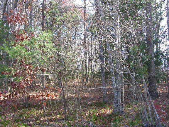 2nd image of Cumberland Lakes Dr
