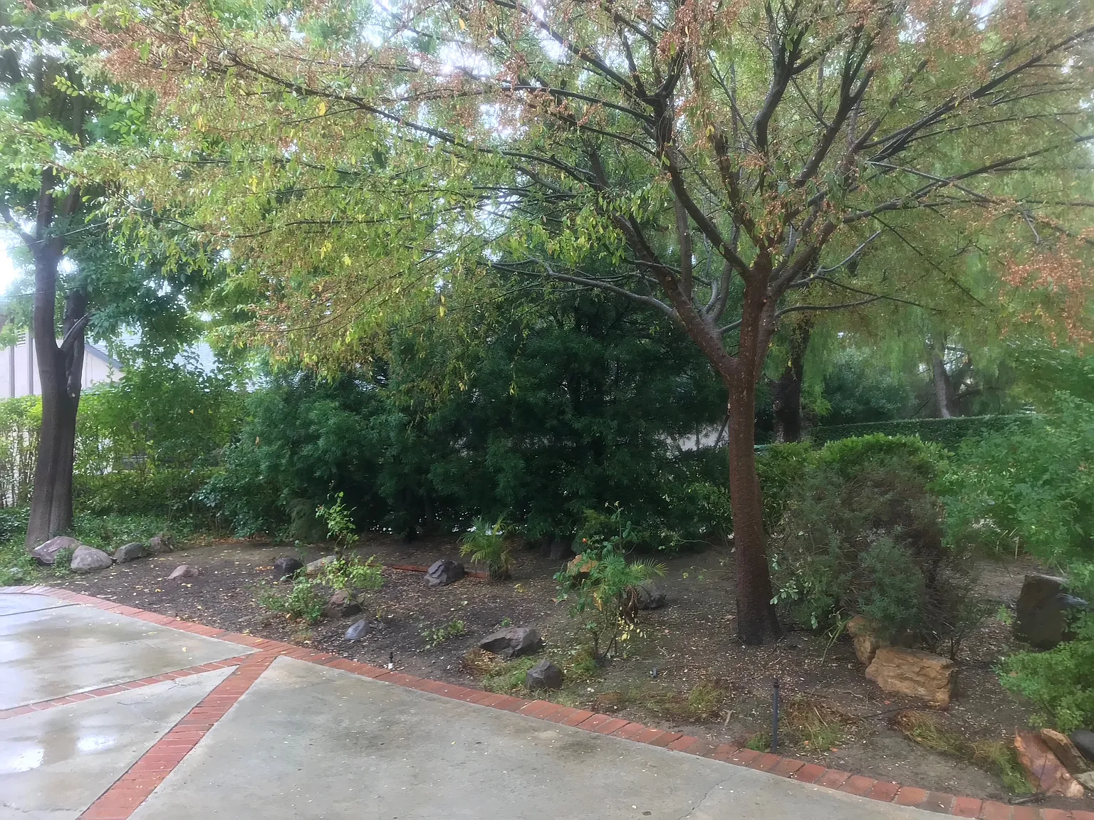 6 bed, 2670 sqft, $9,500 — Photo 4