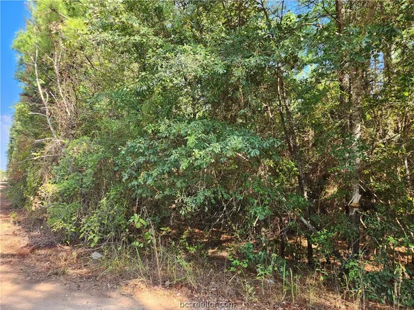 15 & 16 Tawnyberry Ln, Plantersville, TX 77363