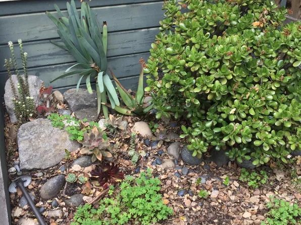 518 Byron St, Palo Alto, CA 94301
