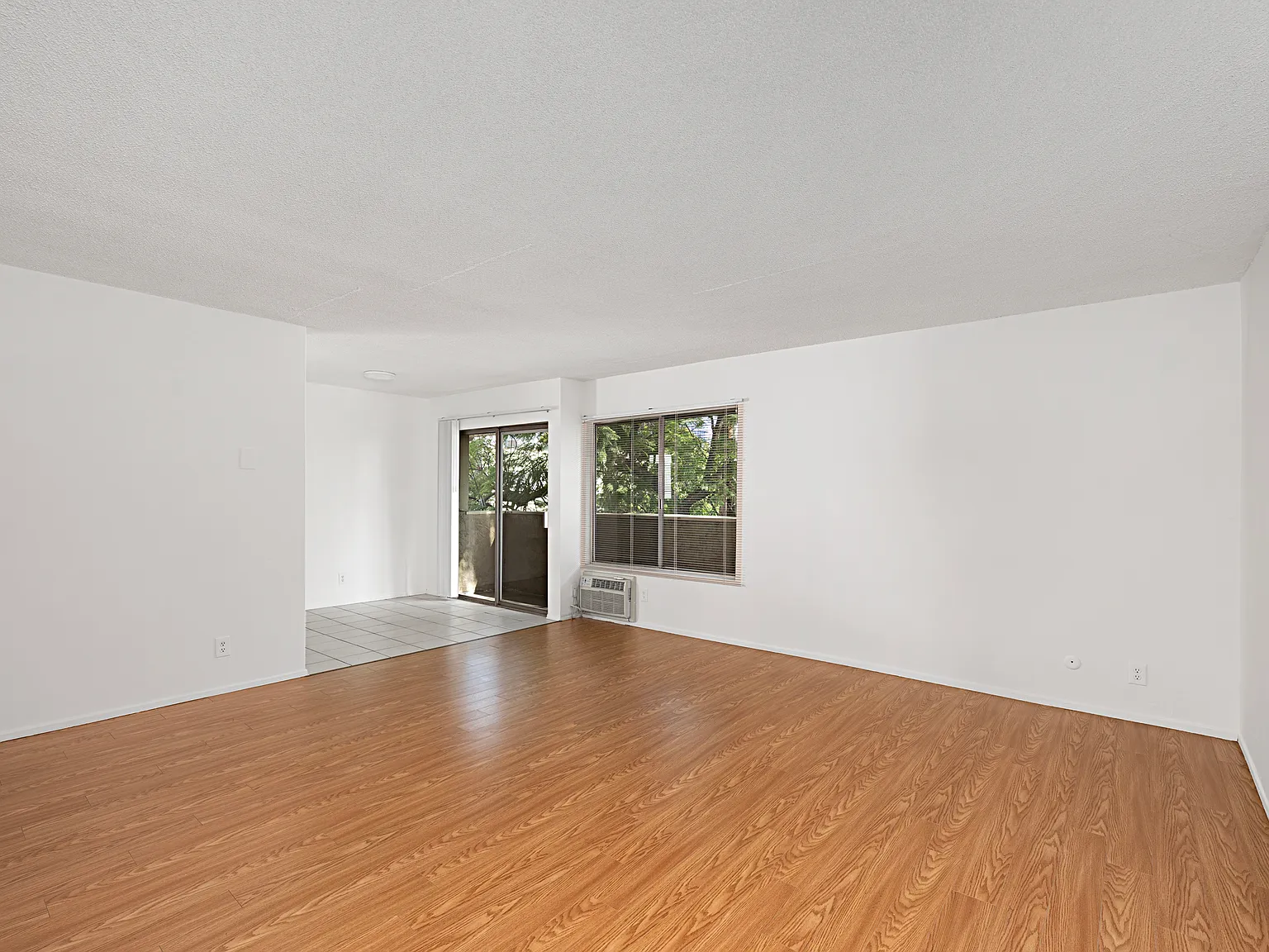 Ten Eleven Palm Avenue — Photo 4