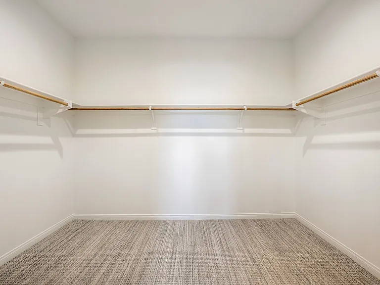 29587 Fortitude Dr — Photo 11