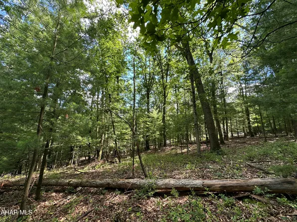 16 Jennifer Dr, Huntingdon, PA 16652