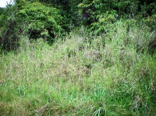 94 6561st #42, Naalehu, HI 96772