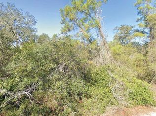 FISHER TRAIL LOT 10, OCKLAWAHA, FL 32179