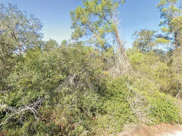 FISHER TRAIL LOT 10, OCKLAWAHA, FL 32179