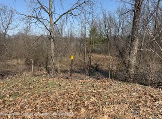 0 Peninsula Way, Laingsburg, MI 48848