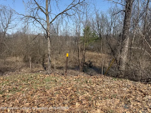 0 Peninsula Way, Laingsburg, MI 48848