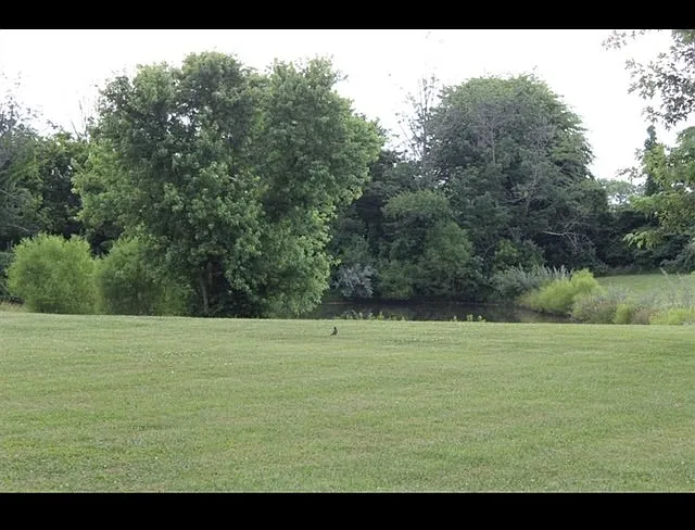 6516 Camp Ernst Rd — Photo 5