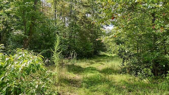 1st image of 0 Cowart Rd