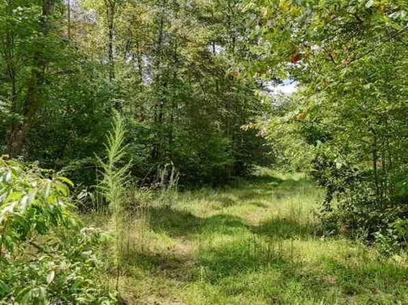 0 Cowart Rd, Hayesville, NC 28904