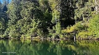 5th image of L1-B9 Chilkat Lake Rd