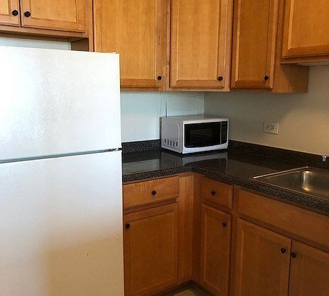 3rd image of 555 W Cornelia Ave APT 2003