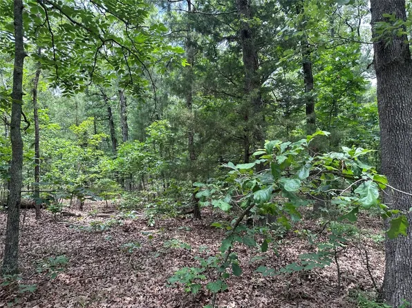 County Road 2131, Detroit, TX 75436