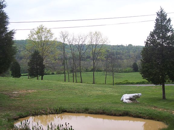 Pond