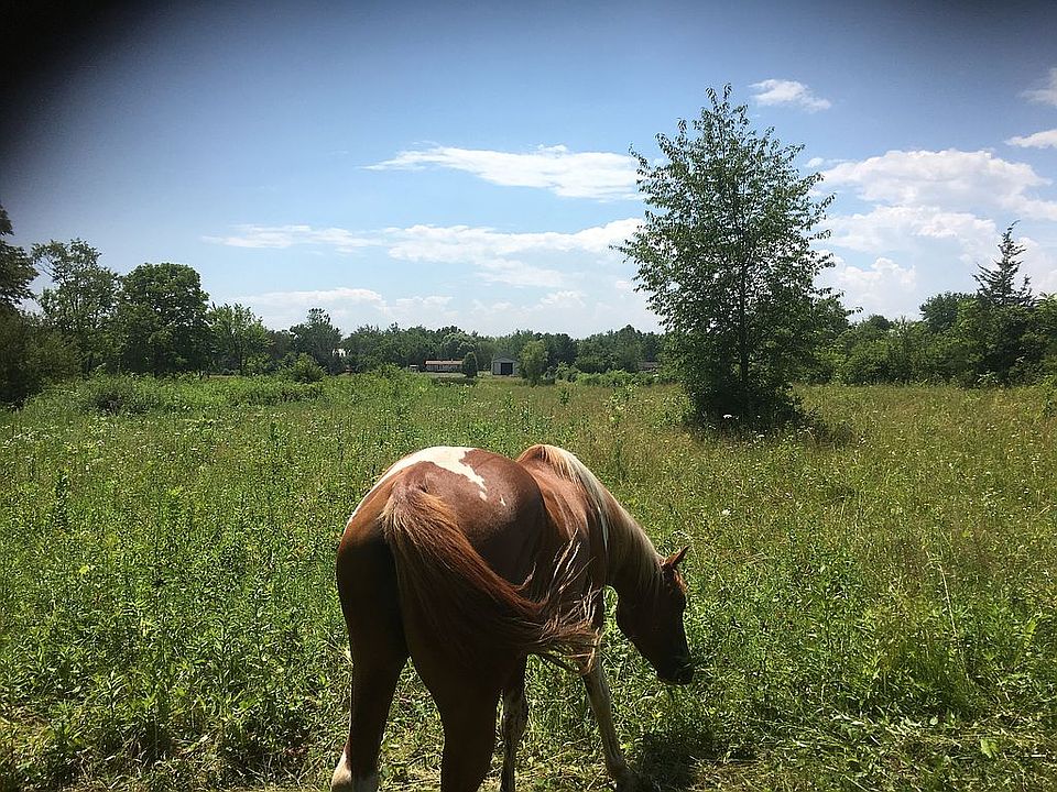 back of property house in ba
